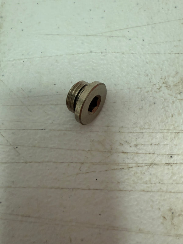 Plug O-ring